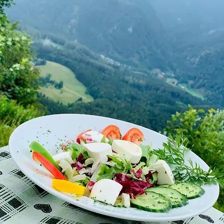 Hotell Hochberghaus Grünau im Almtal