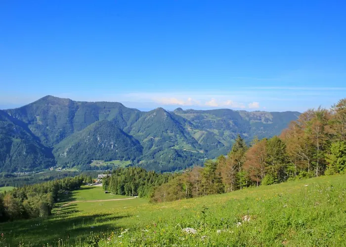 Hotel Hochberghaus 3*