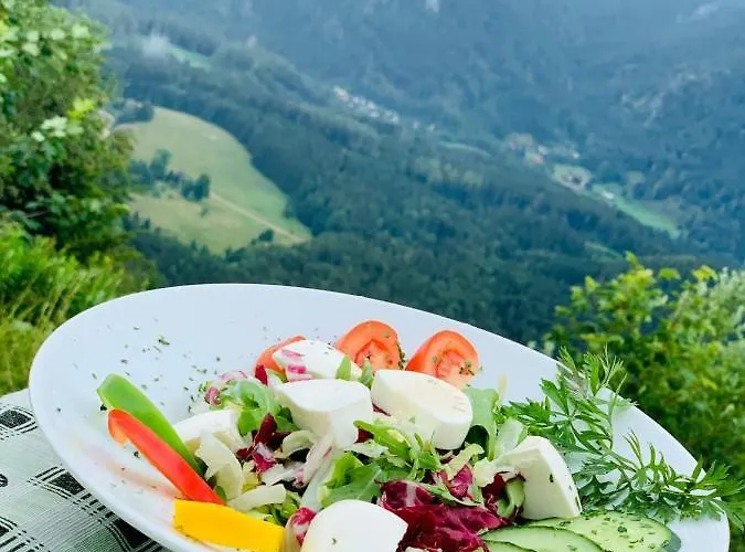 Hotel Hochberghaus Grünau im Almtal